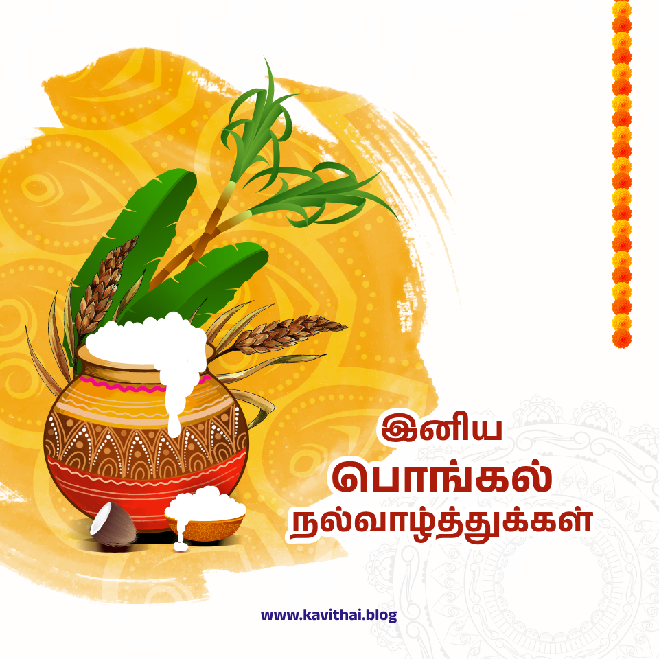 பொங்கல் வாழ்த்துக்கள் - Happy Pongal Wishes in Tamil