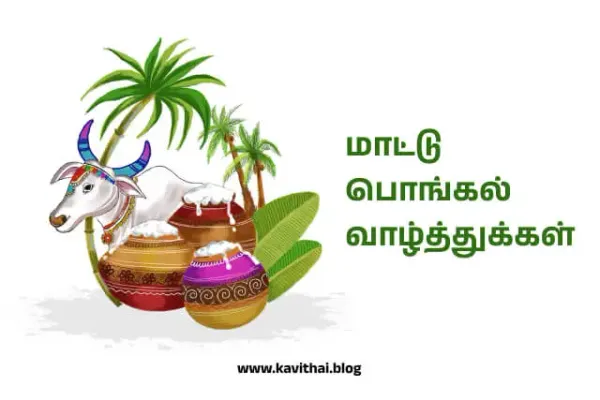 மாட்டு பொங்கல் வாழ்த்துக்கள் - Mattu Pongal Wishes in Tamil